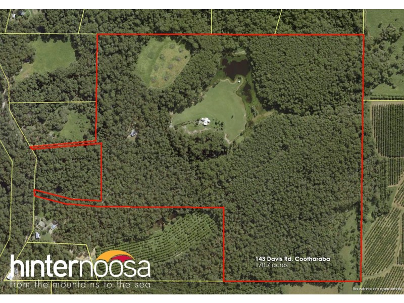 143 Davis Road, Cootharaba QLD 4565