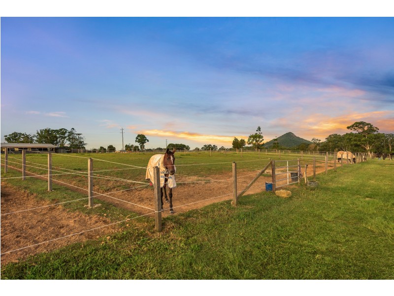 95 Ferrells Road, Cooroy QLD 4563