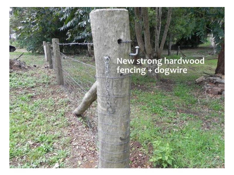 142 Curramore Road, Witta QLD 4552