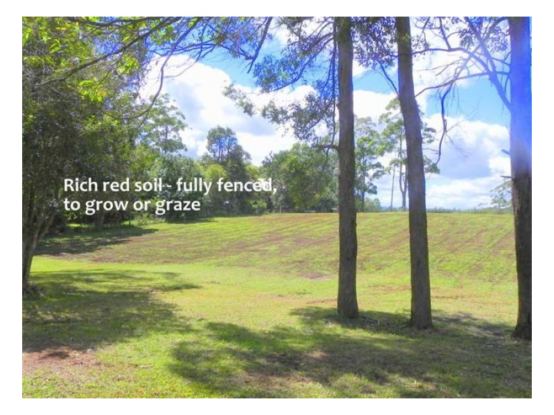 142 Curramore Road, Witta QLD 4552