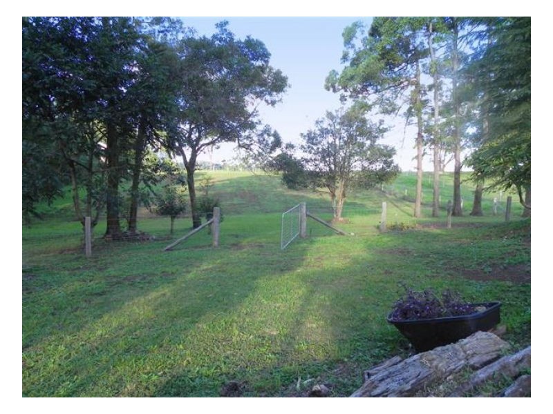 142 Curramore Road, Witta QLD 4552