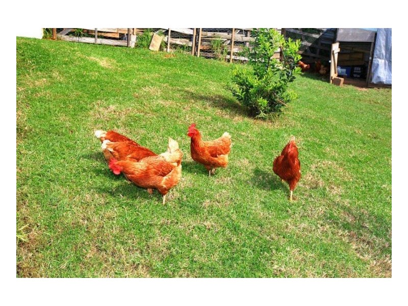 44 Meadow Road, Maleny QLD 4552