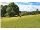 44 Meadow Road, Maleny QLD 4552