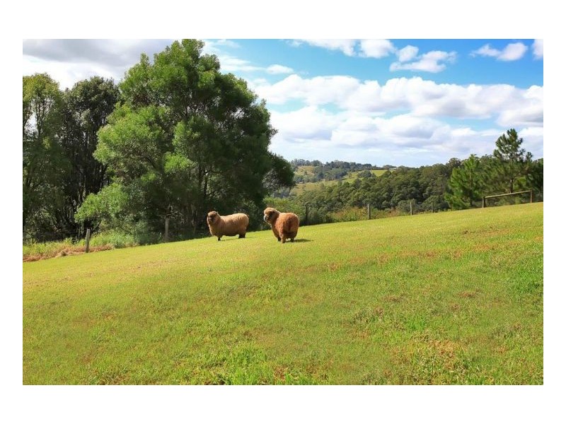 44 Meadow Road, Maleny QLD 4552