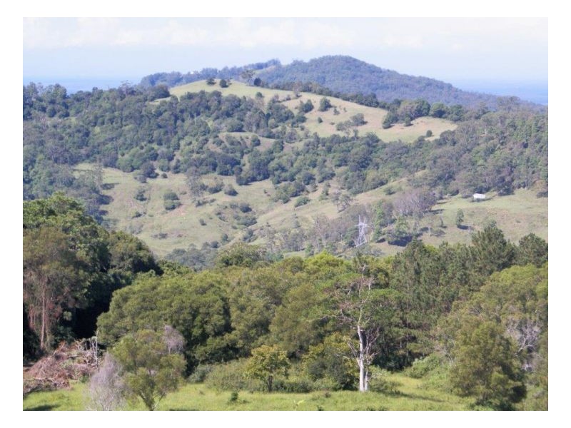 Maleny QLD 4552