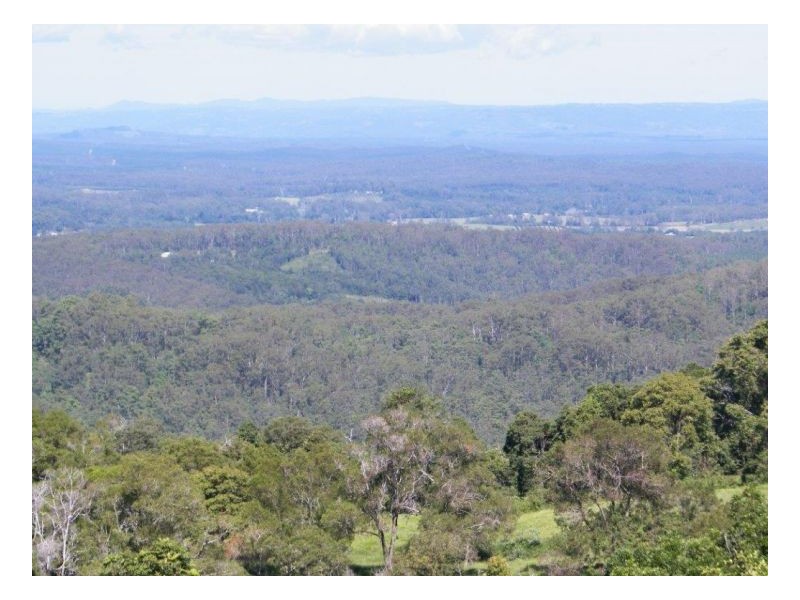 Maleny QLD 4552