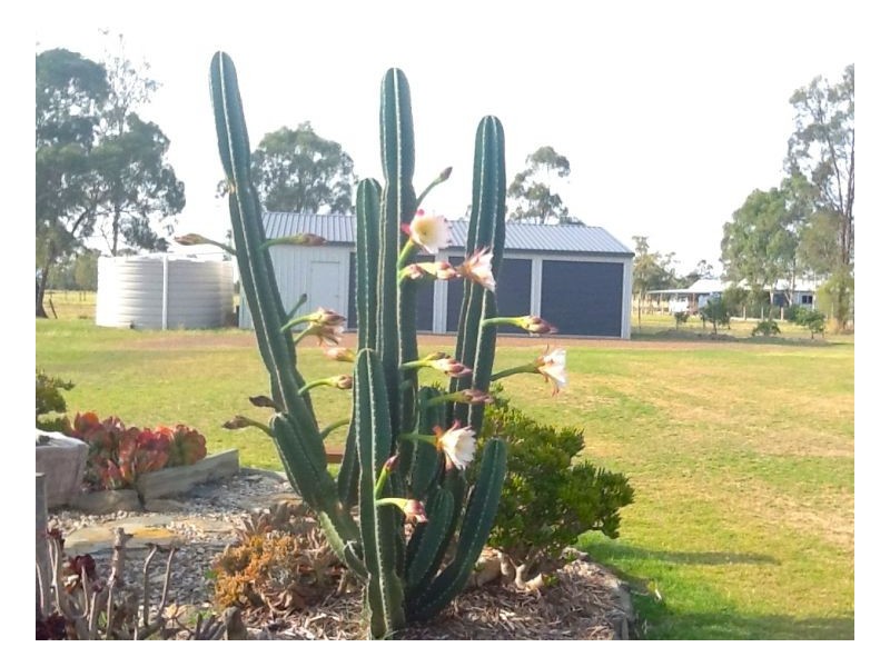 4 Castles Street, Millmerran QLD 4357