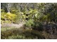 Glass House Mountains QLD 4518