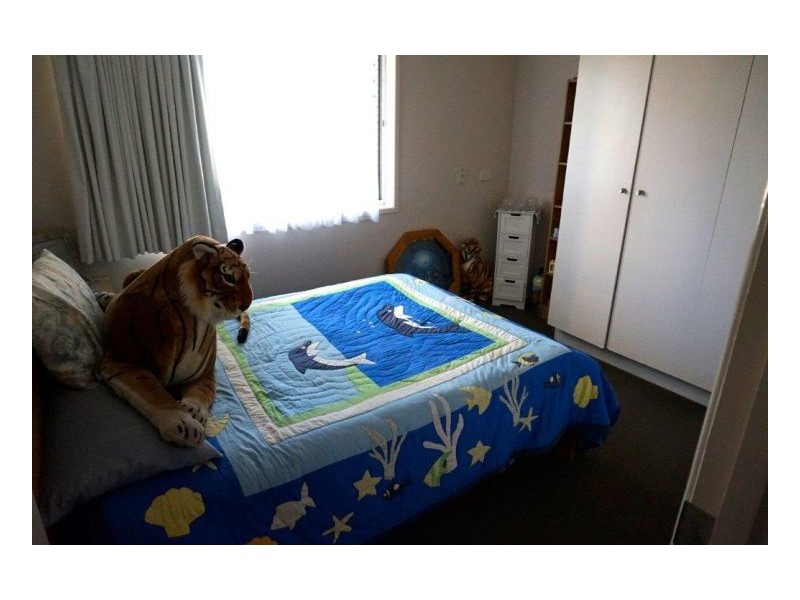 3 Nagari Place, Warana QLD 4575