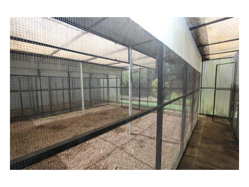 13 Thynne Court, Maleny QLD 4552