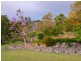 Montville QLD 4560