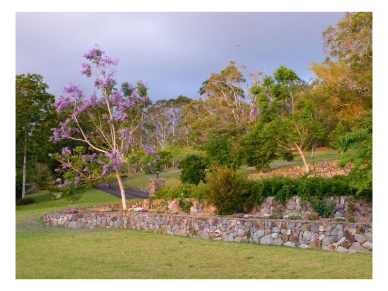 Montville QLD 4560