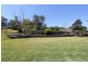 Montville QLD 4560