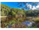 Crohamhurst QLD 4519