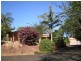 280 Flaxton Drive, Flaxton QLD 4560