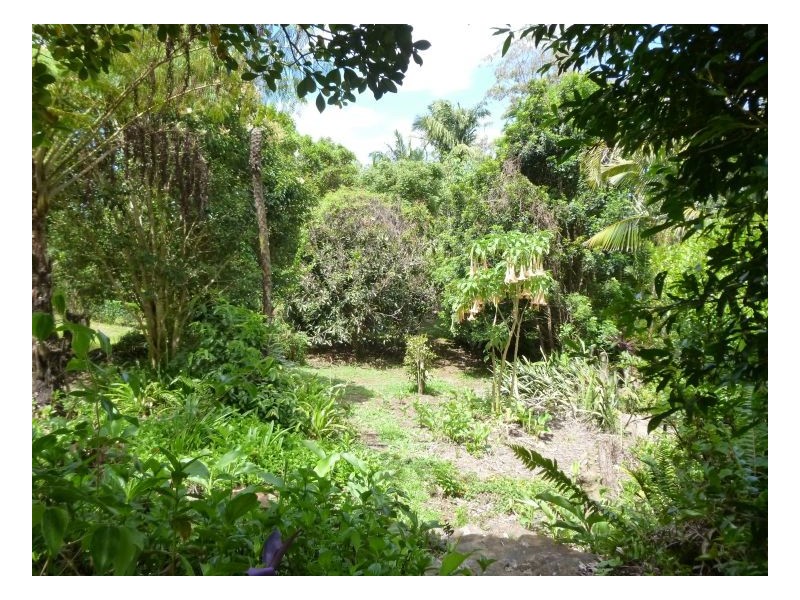 36 Lantana Lane, Mapleton QLD 4560