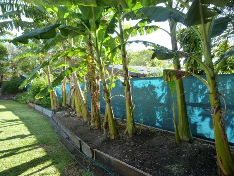 15 Wandoo Court, Mapleton QLD 4560