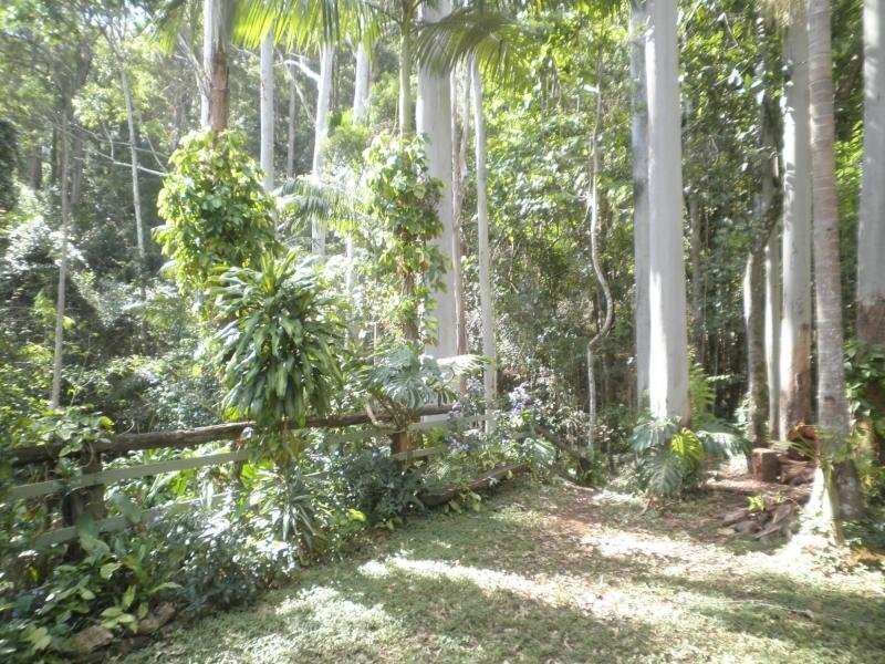 654 Obi Obi Road, Obi Obi QLD 4574