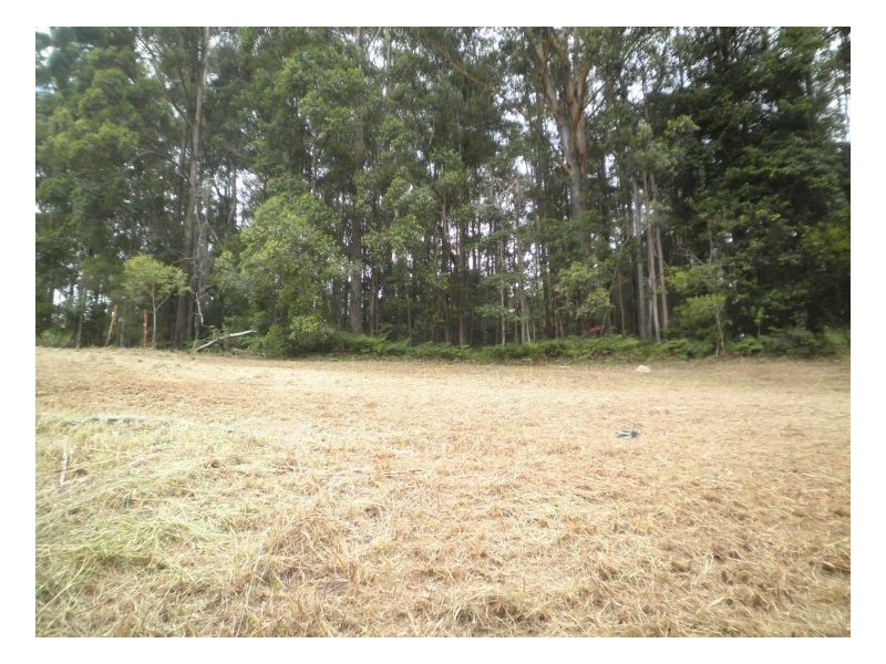 47 The Parkway Place, Mapleton QLD 4560