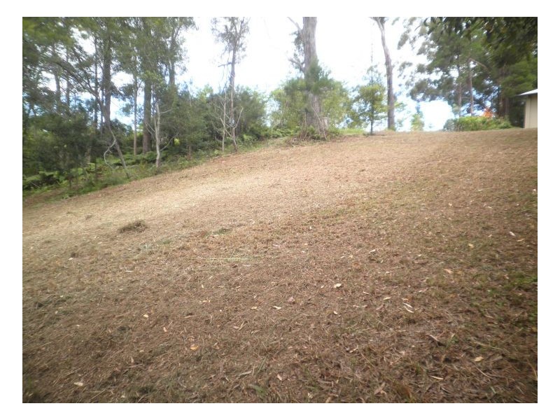 38 The Parkway Place, Mapleton QLD 4560