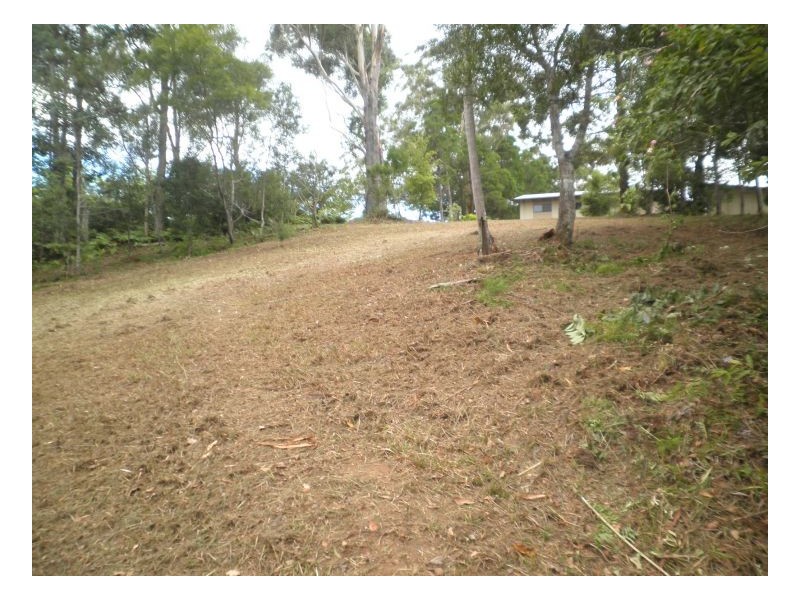 38 The Parkway Place, Mapleton QLD 4560