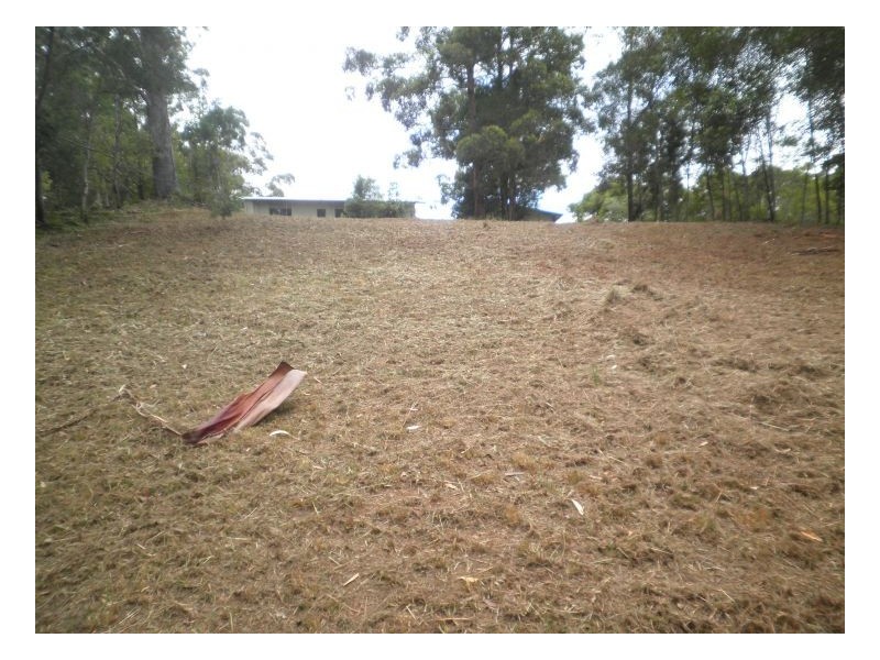 38 The Parkway Place, Mapleton QLD 4560