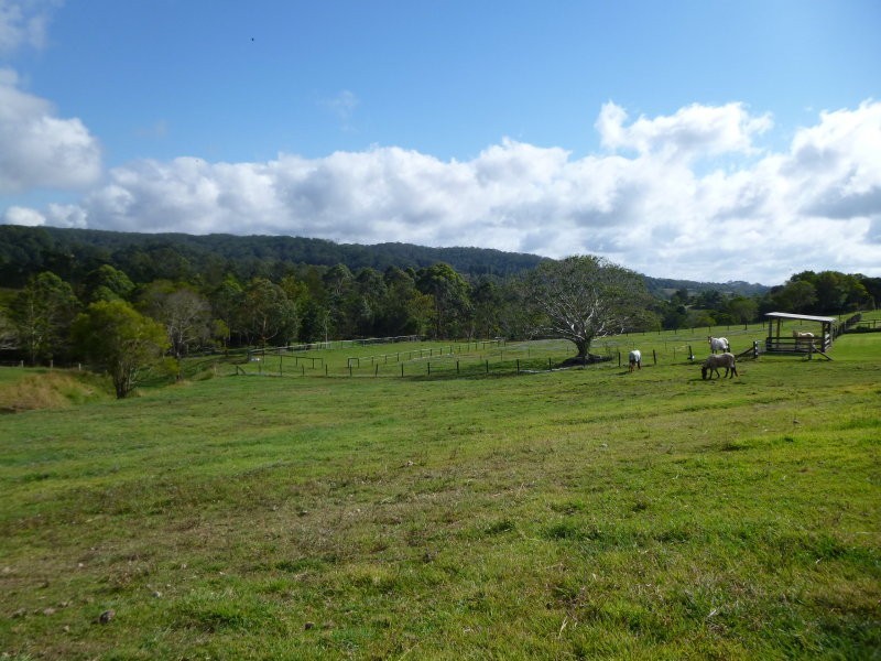 80 Spring Pasture Drive, Mapleton QLD 4560