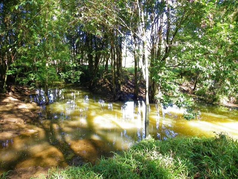 358 Candle Mountain Drive, Peachester QLD 4519