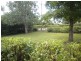 36 FLaxton Dve, Mapleton QLD 4560
