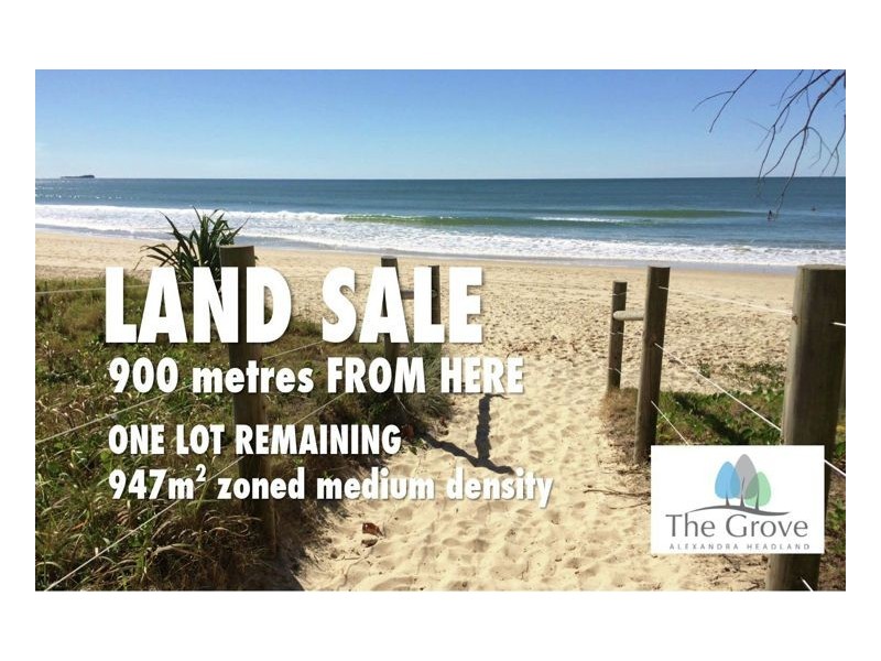 Alexandra Headland QLD 4572