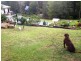 Flaxton QLD 4560