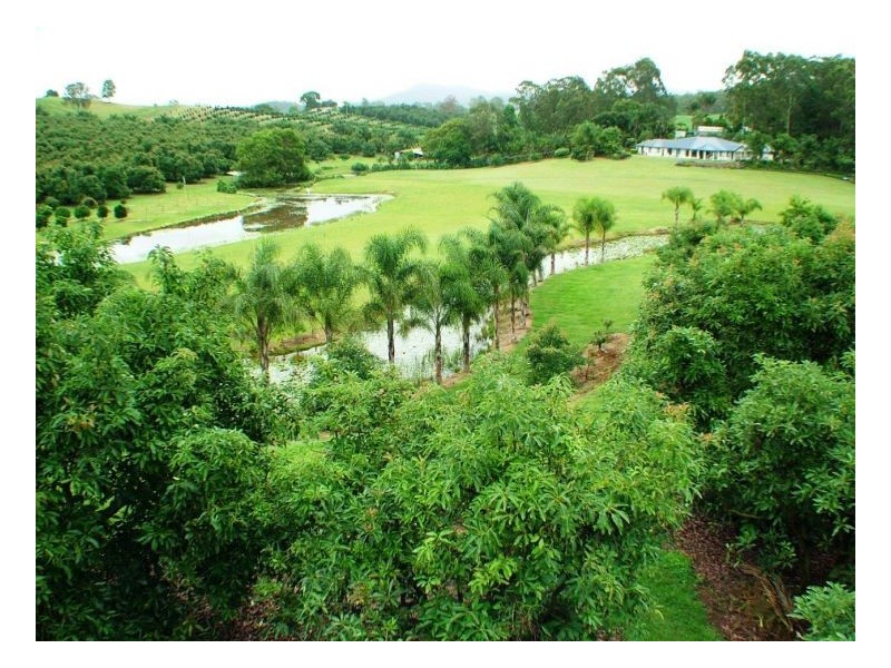 Crohamhurst QLD 4519