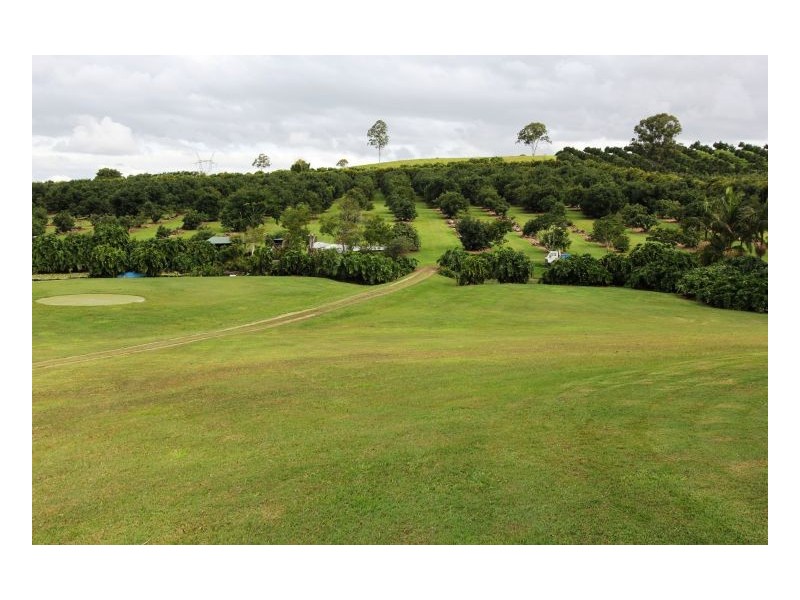 Crohamhurst QLD 4519