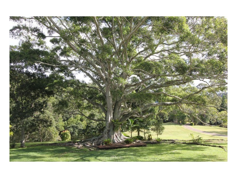 820 Maleny Kenilworth Road, Maleny QLD 4552