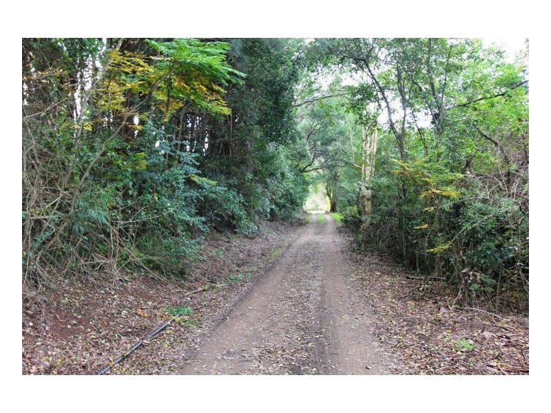 84 Cooke Road, Witta QLD 4552