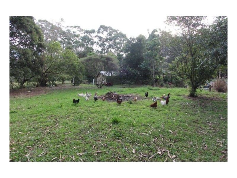 84 Cooke Road, Witta QLD 4552