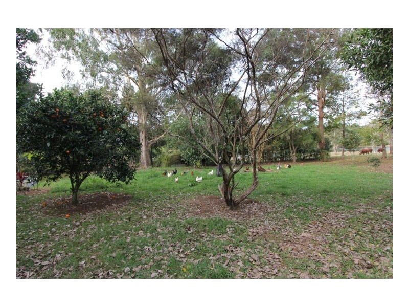 84 Cooke Road, Witta QLD 4552