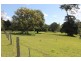Maleny QLD 4552