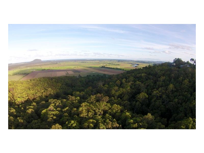 10 Caladenia Court, Maroochy River QLD 4561