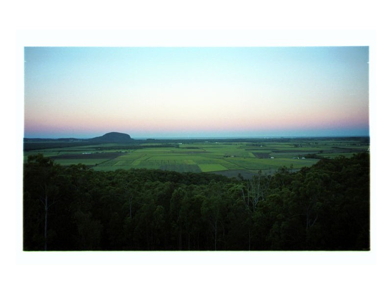 10 Caladenia Court, Maroochy River QLD 4561