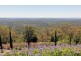 Montville QLD 4560