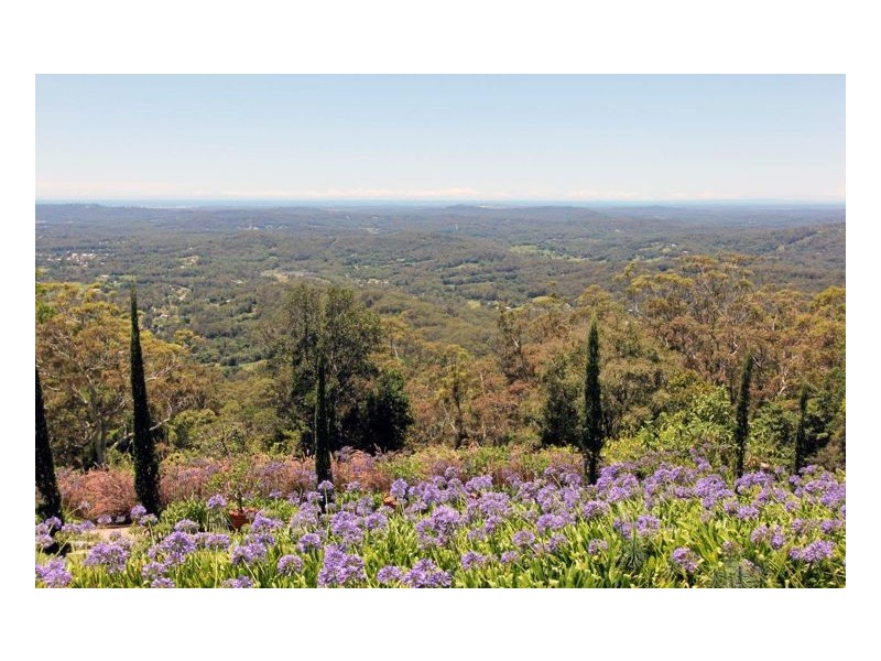 Montville QLD 4560