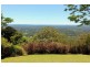 Montville QLD 4560