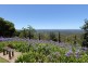 Montville QLD 4560