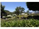 Montville QLD 4560