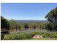 Montville QLD 4560
