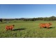 Peachester QLD 4519