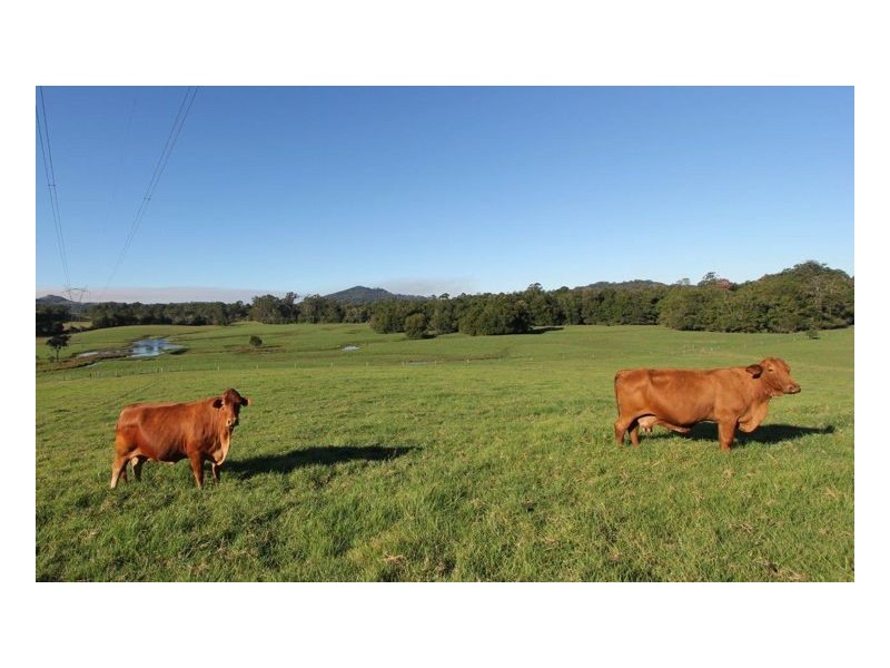 Peachester QLD 4519