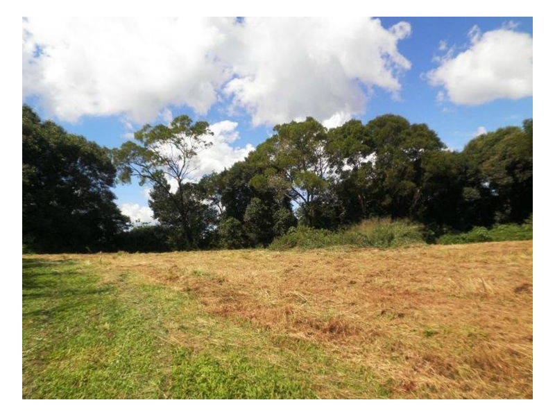 226-228 Balmoral Road, Montville QLD 4560