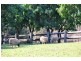 159 Commissioners Flat Road, Peachester QLD 4519
